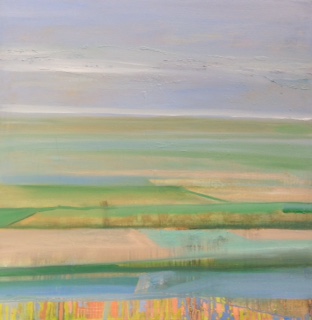 Aylesbury Vale from Whiteleaf